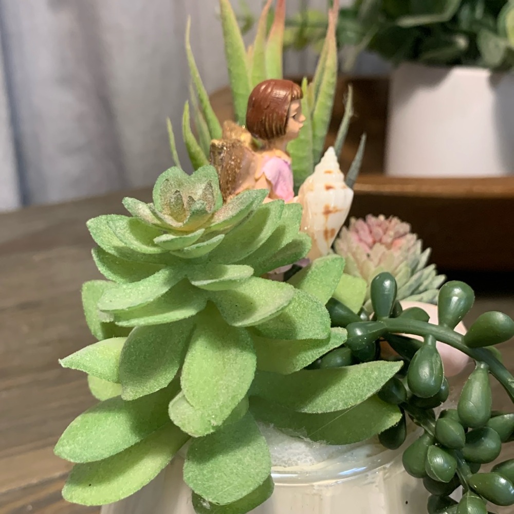 Succulent Fairy Beach Garden - Picture 4 of 5